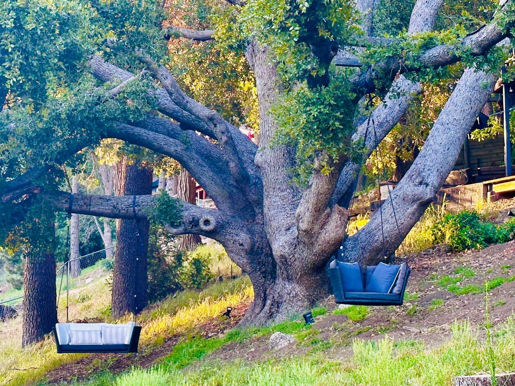100 Mile View-Fire Pit, Romantic, Peaceful, Private Crestline Exterior foto