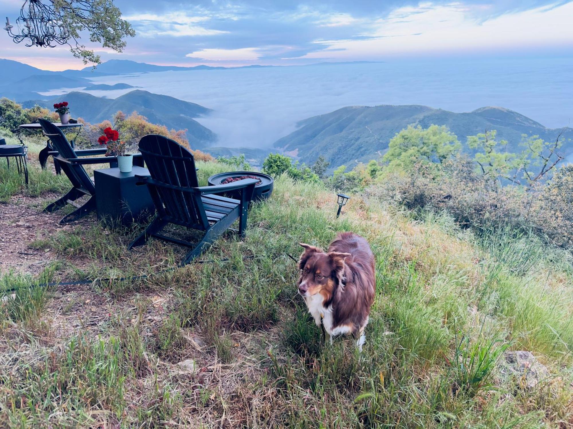 100 Mile View-Fire Pit, Romantic, Peaceful, Private Crestline Exterior foto